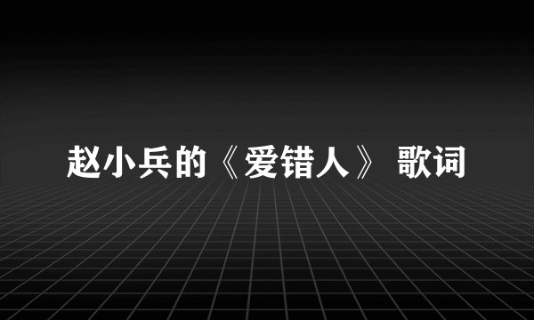 赵小兵的《爱错人》 歌词