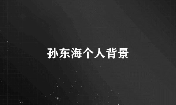 孙东海个人背景