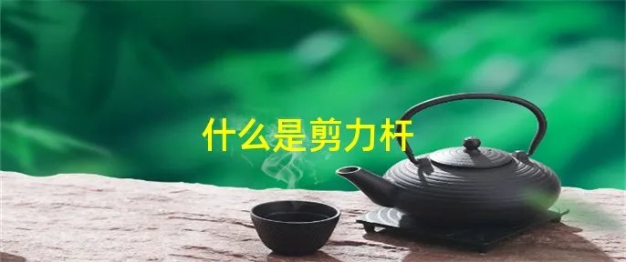 什么是剪力杆