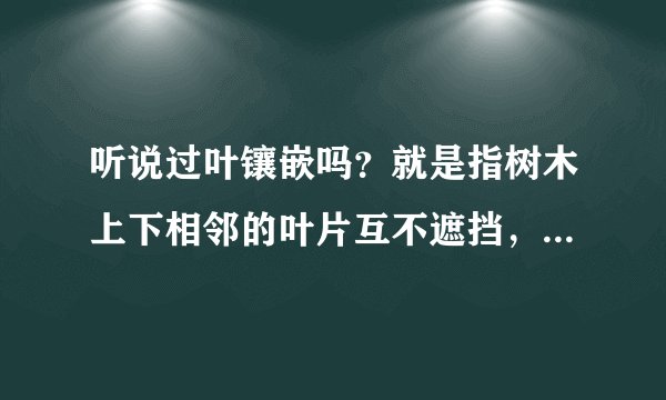 听说过叶镶嵌吗？就是指树木上下相邻的叶片互不遮挡，能使每片叶都尽可能地接受阳光照射，这种现象可说明（　　） A. 生物能适应环境B. 环境不影响生物C. 环境能适应生物D. 生物不影响环境