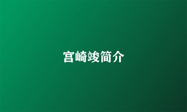 宫崎竣简介