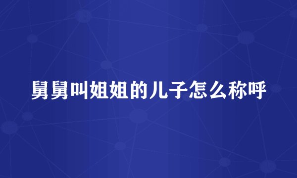 舅舅叫姐姐的儿子怎么称呼