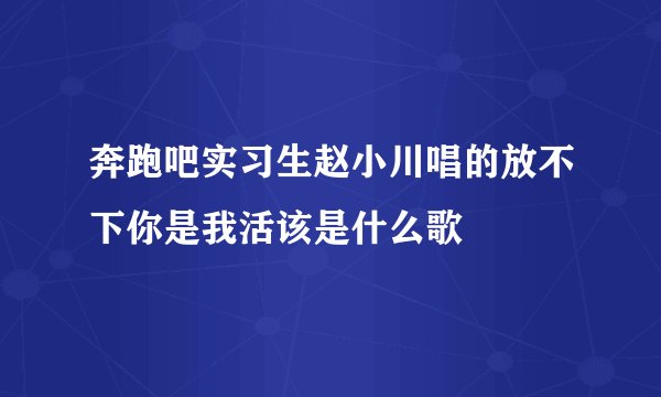 奔跑吧实习生赵小川唱的放不下你是我活该是什么歌