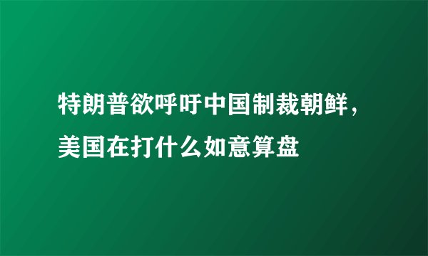 特朗普欲呼吁中国制裁朝鲜,美国在打什么如意算盘