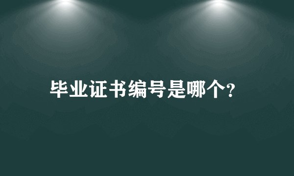 毕业证书编号是哪个？