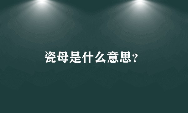 瓷母是什么意思？