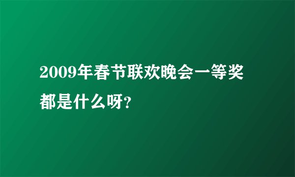 2009年春节联欢晚会一等奖都是什么呀?