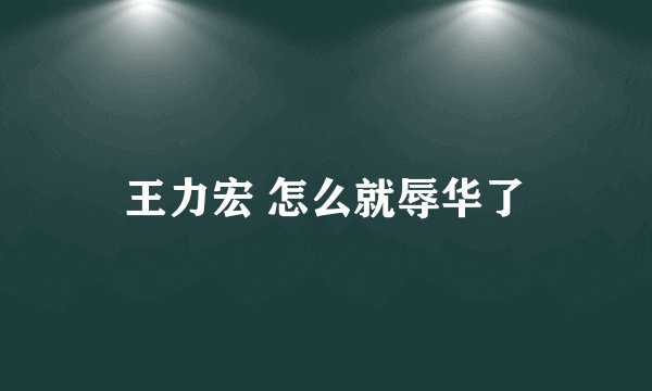 王力宏 怎么就辱华了