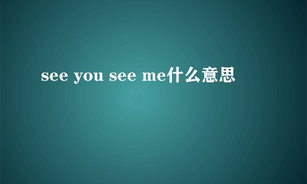 see you see me什么意思