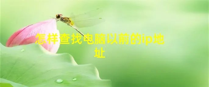 怎样查找电脑以前的ip地址