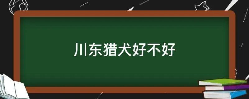 川东猎犬好不好