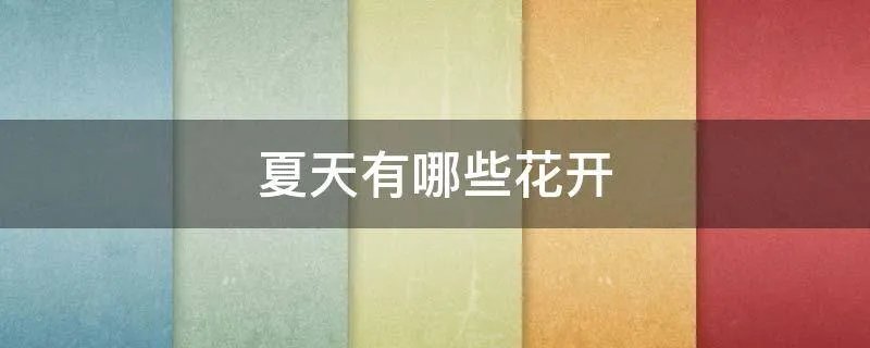 夏天有哪些花开