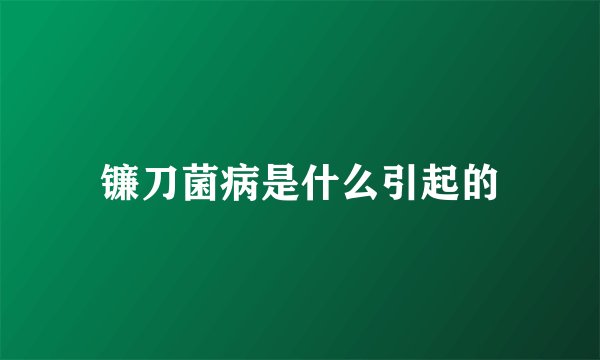 镰刀菌病是什么引起的