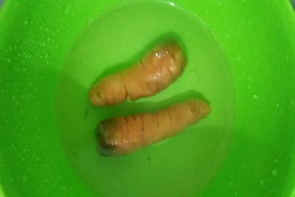 茶树菇炒肉的做法