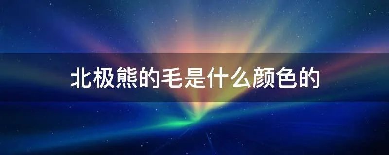 北极熊的毛是什么颜色的