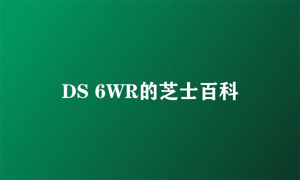 DS 6WR的芝士百科