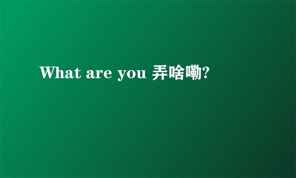 What are you 弄啥嘞?