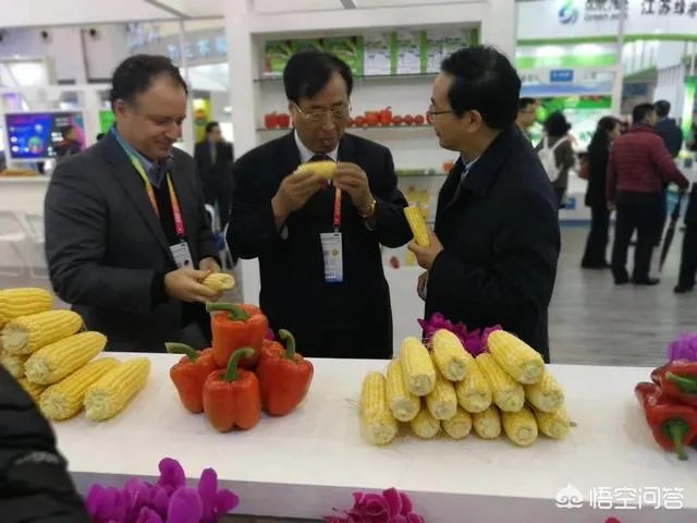 杨凌农高会有哪些新品种？