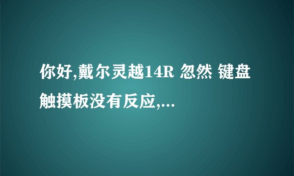 你好,戴尔灵越14R 忽然 键盘 触摸板没有反应,是关闭了吗?怎么打开?