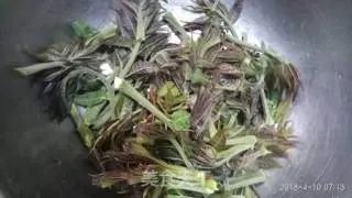 炸香椿芽