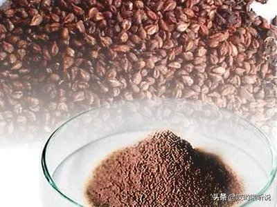 葡萄籽怎么吃?