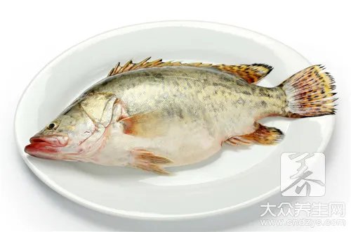 沙漠里面怎么会有鱼？其实沙漠里真的有一种沙漠鱼！
