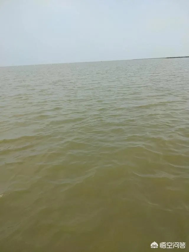 珠海海钓钓点