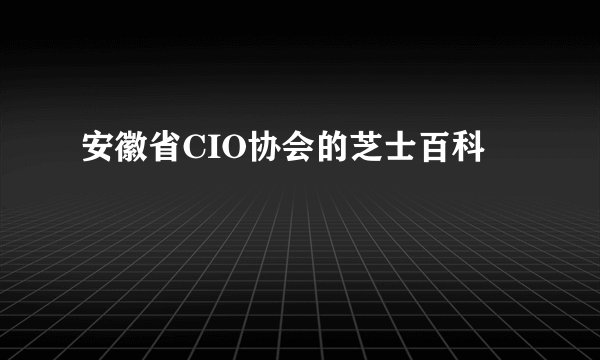安徽省CIO协会的芝士百科