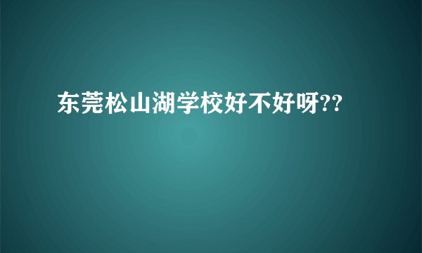 东莞松山湖学校好不好呀??