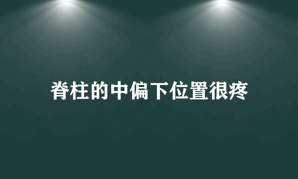 脊柱的中偏下位置很疼