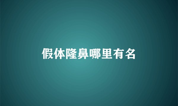 假体隆鼻哪里有名