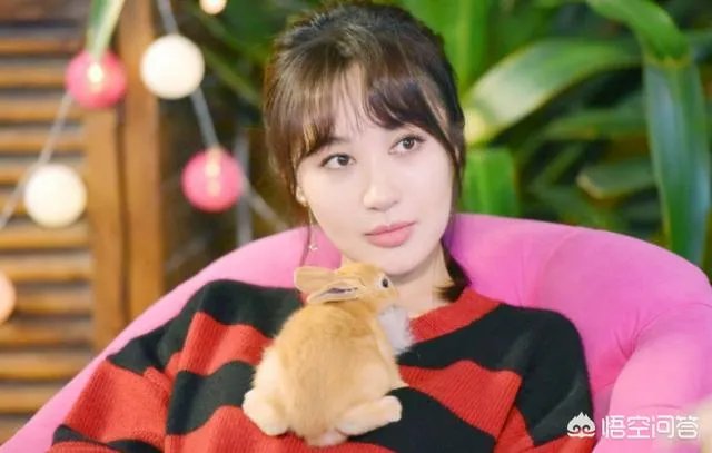 李菲儿是谁?为何近日频频上热搜?