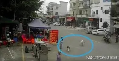 如果你是牵狗女孩,你会逃跑嘛?