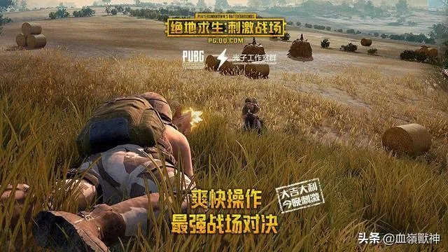 如果刺激战场回归你们会有什么看法?