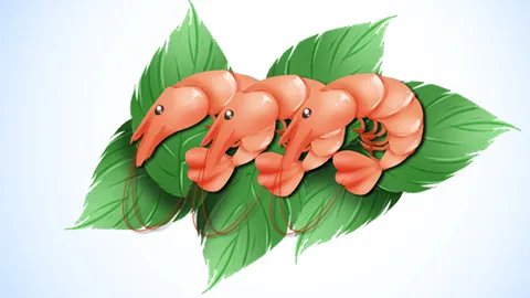 柿子不能和哪些东西一起吃