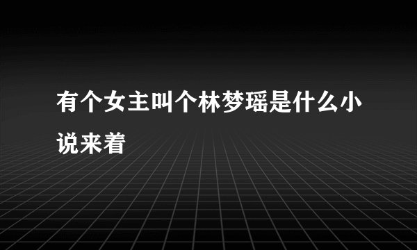 有个女主叫个林梦瑶是什么小说来着