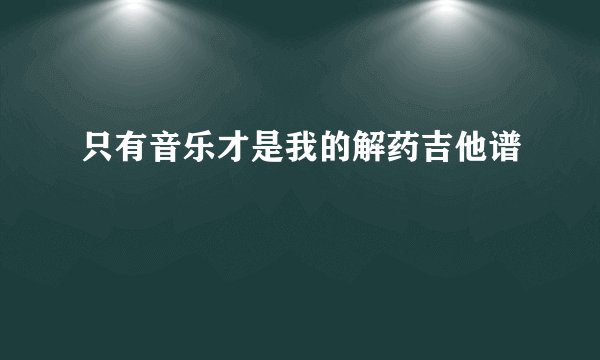 只有音乐才是我的解药吉他谱