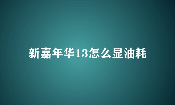 新嘉年华13怎么显油耗