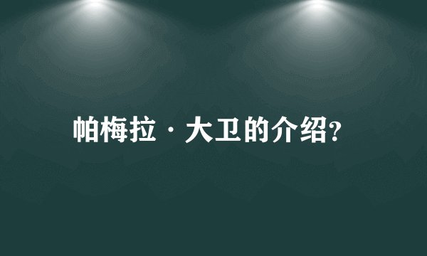 帕梅拉·大卫的介绍？
