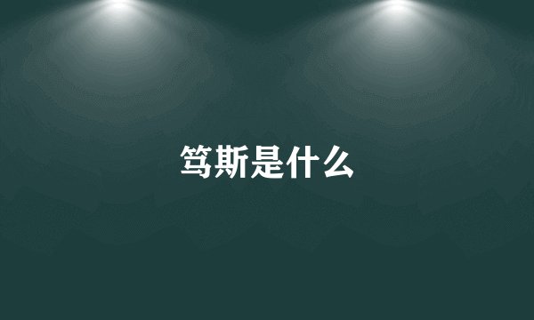 笃斯是什么