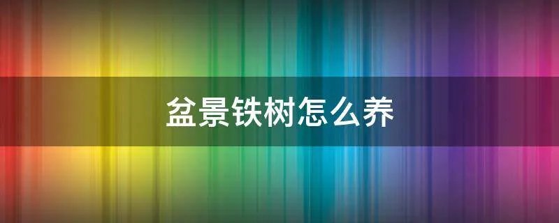 盆景铁树怎么养