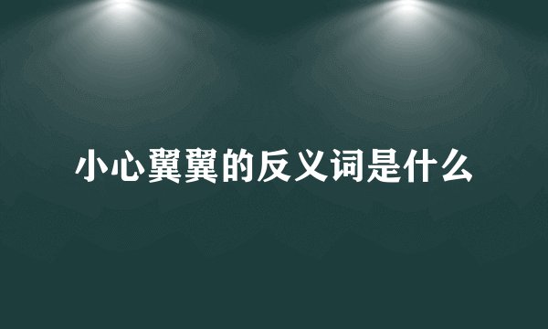 小心翼翼的反义词是什么