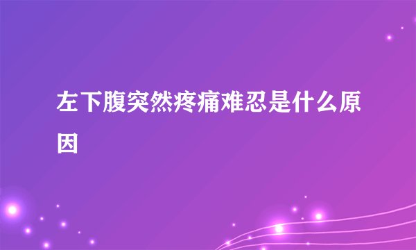 左下腹突然疼痛难忍是什么原因