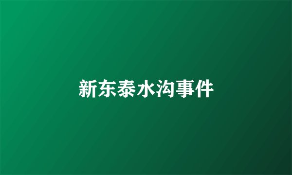 新东泰水沟事件