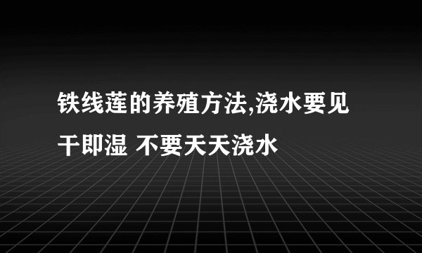 铁线莲的养殖方法,浇水要见干即湿 不要天天浇水