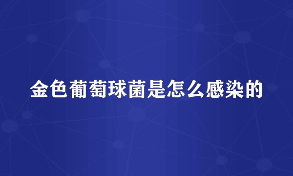 金色葡萄球菌是怎么感染的