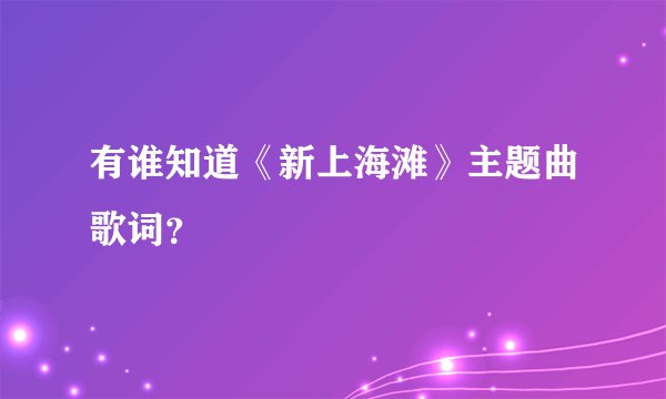 有谁知道《新上海滩》主题曲歌词？