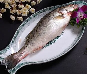 海鲈鱼的产区