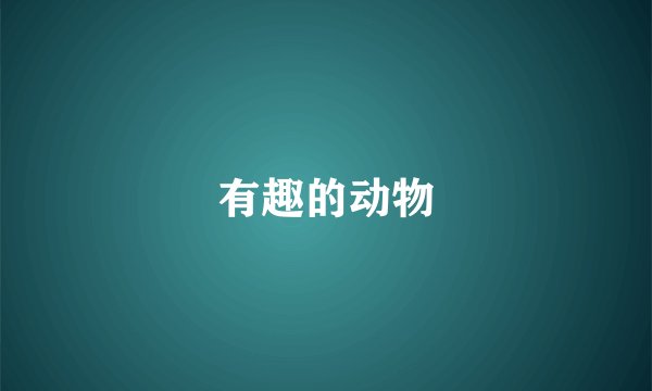 有趣的动物