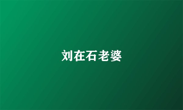 刘在石老婆